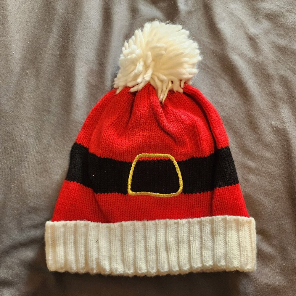 Holiday santa tuque